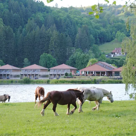 Hotel Des Graves 3*