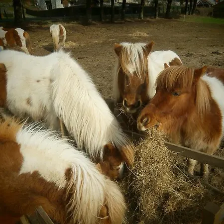 Des Graves 3* Lascelle