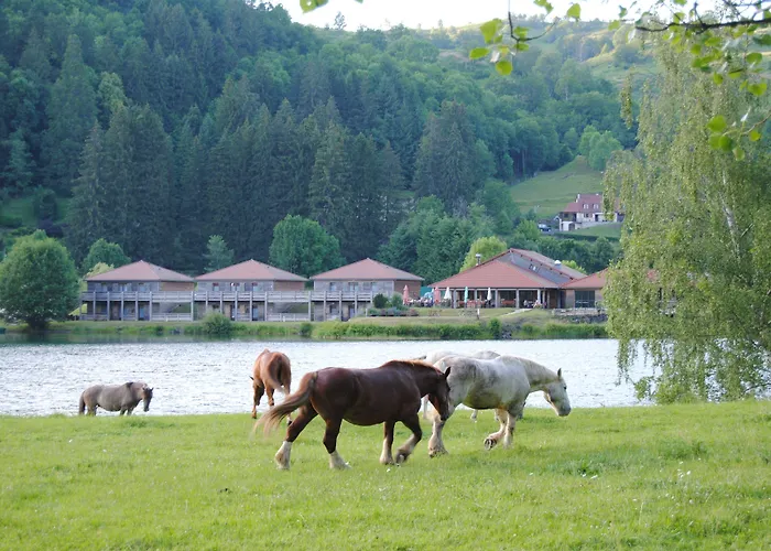 ホテル Des Graves 3*